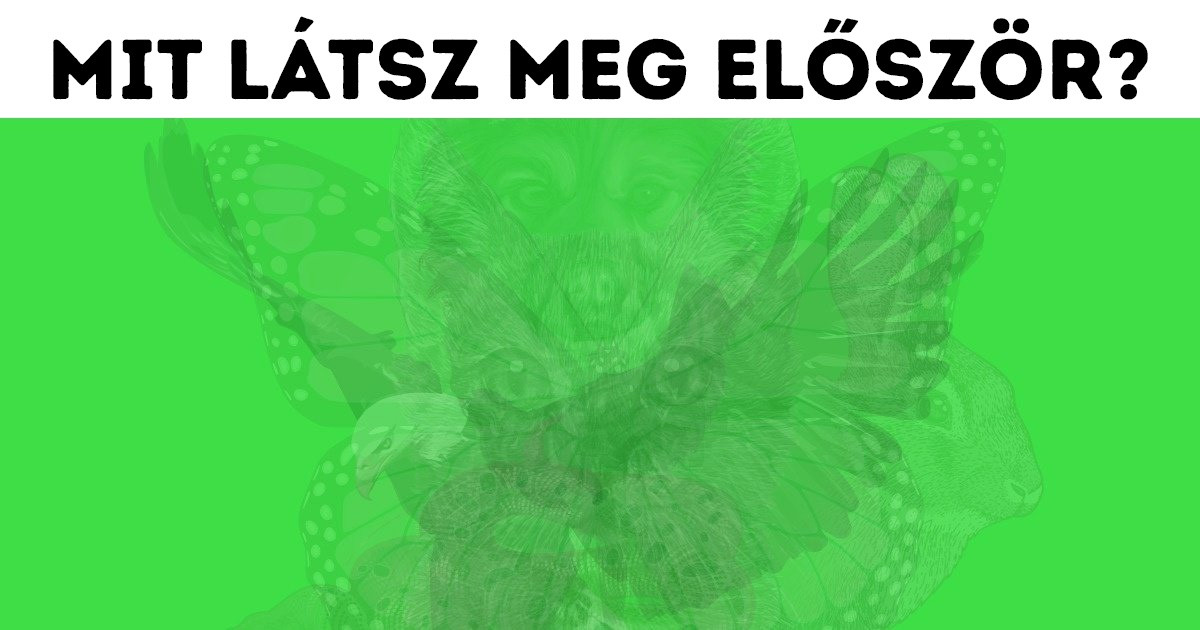 Az állat, amit először meglátsz a képen, sok mindent elárul a személyiségedről