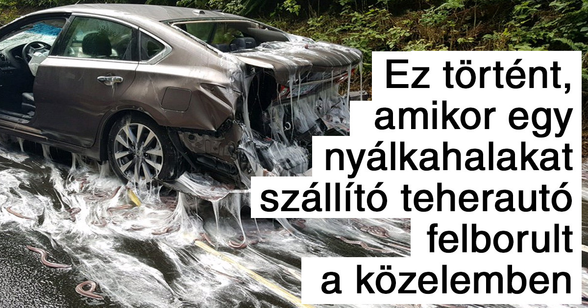 20 fotó, ami sürgős magyarázatot igényel - és szerencsére tudunk is vele szolgálni