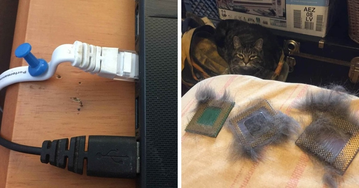 16 kínos helyzet, amikor az emberek kapcsolatba léptek a technikával, de totális kudarc lett a vége