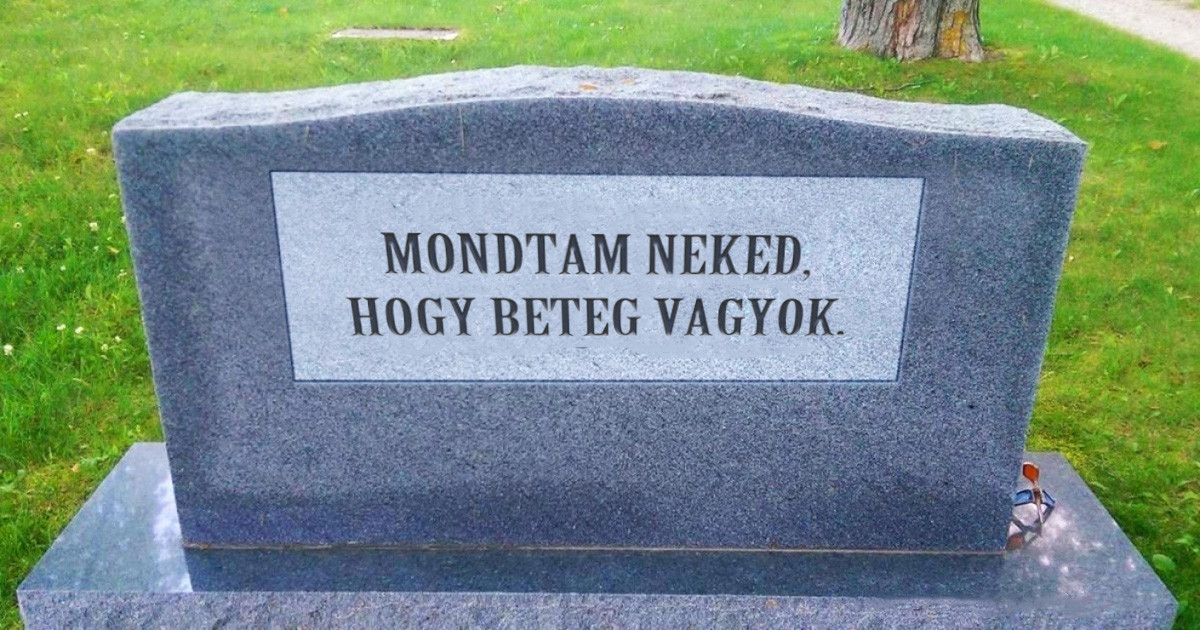 20 abszurd pillanat, ami láttán már nem tudjuk eldönteni, hogy nevessünk vagy sírjunk