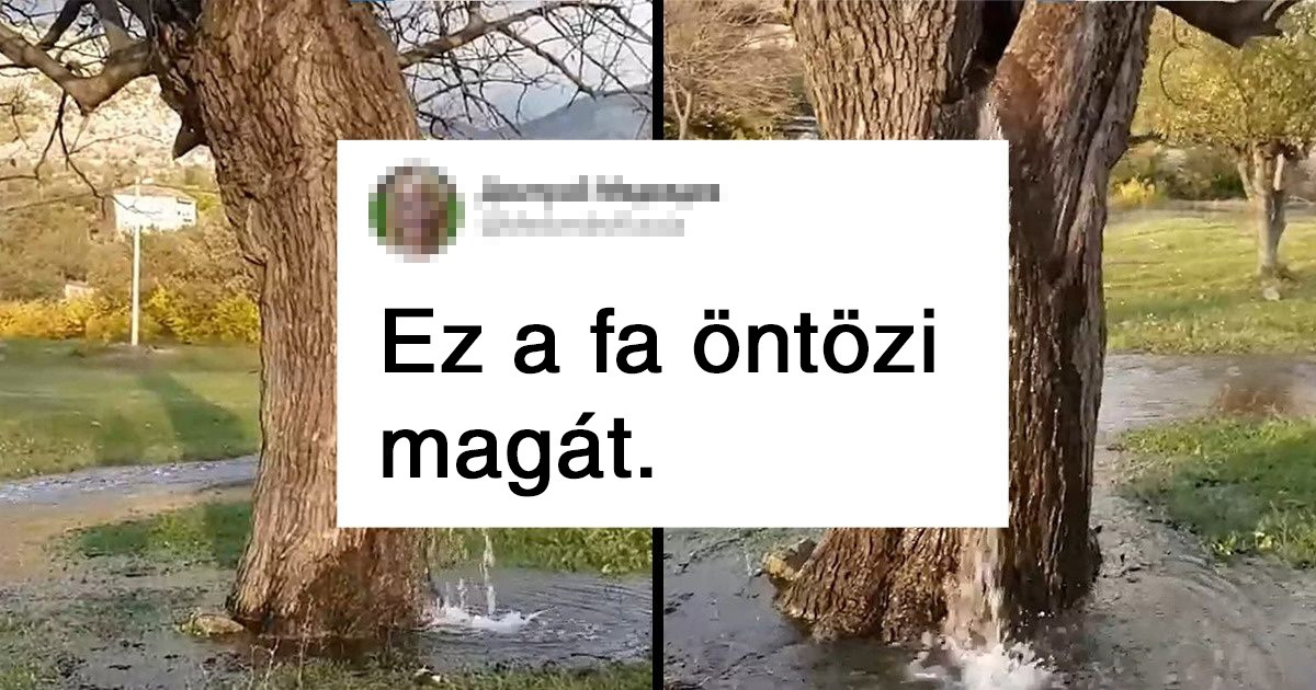 17 fotó, ami bizonyítja, hogy a természet minden varázslónál nagyobb mutatványokra képes