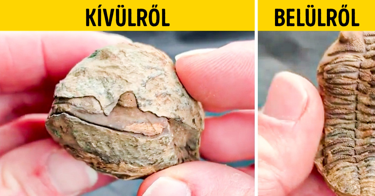 21 ember, aki a szokásos dolgok nézegetése közben valami nagyon furcsára bukkant