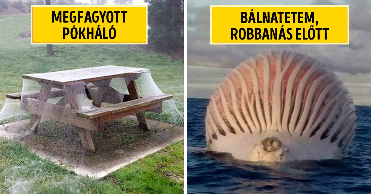 Ausztrália a ‘húzzunk innen, de nagyon gyorsan’ hazája, és ezt 30 képpel is bizonyítjuk