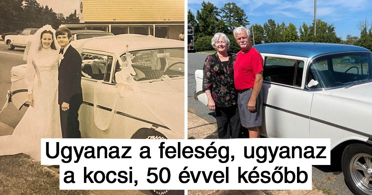 19 fotó, ami bizonyítja, hogy a jó gondoskodás mindig kifizetődik