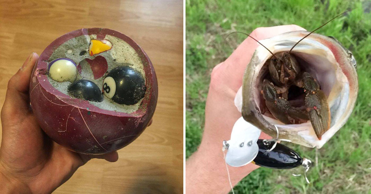 20 ember, aki meglepő dolgokra bukkant a különféle hétköznapi tárgyak belsejében