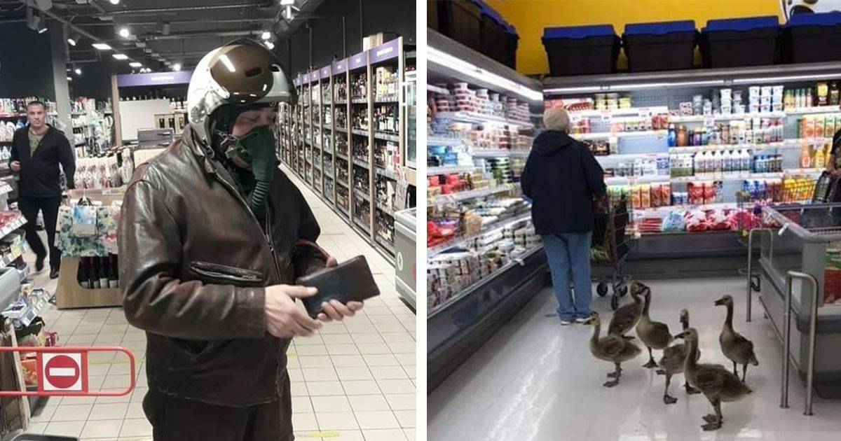 20 fotó, ami bizonyítja, hogy a boltokban nemcsak jó cuccokat, de élettapasztalatot is szerezhetsz