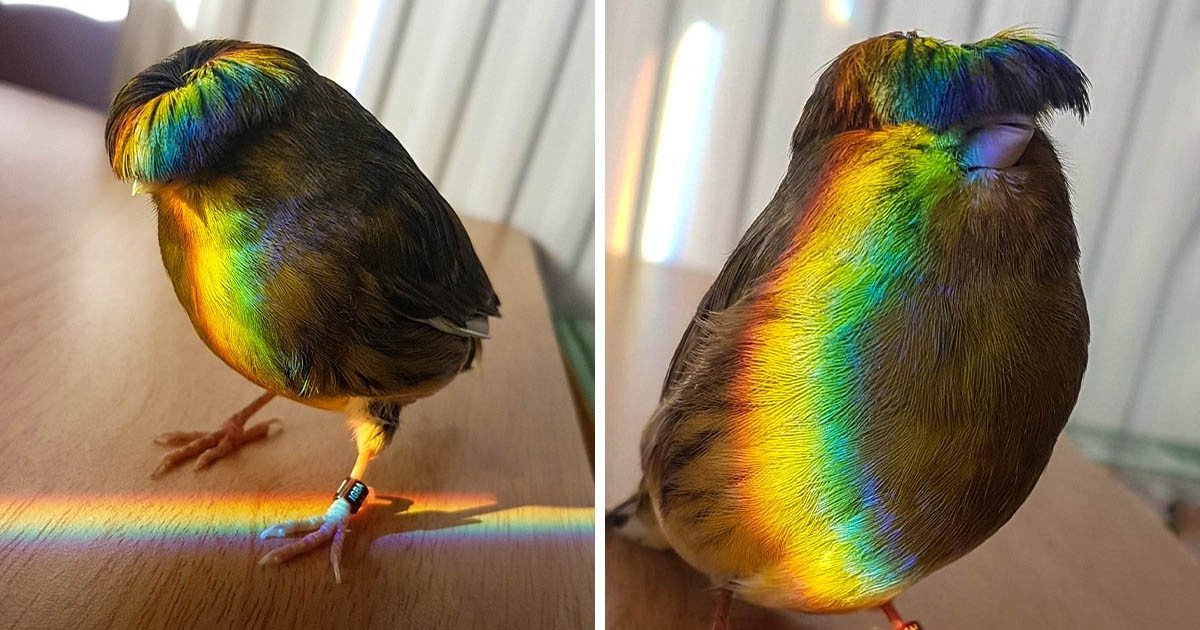 19 fotó, ami méltó rá, hogy helyet kapjon a Wow!-gyűjteményben
