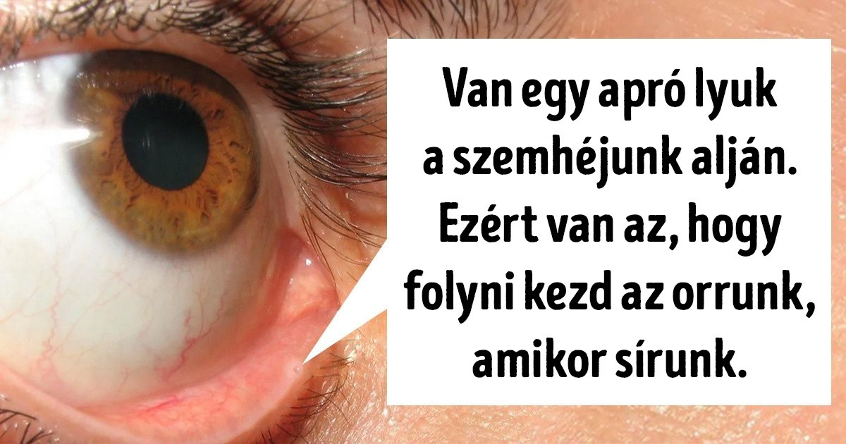15 tény az emberi testről, amit soha többé nem fogsz tudni kiverni a fejedből