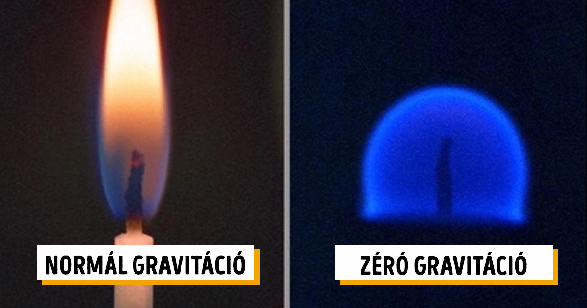 21 érdekes fotó azoknak, akik szeretnének valami újat látni és tanulni a világról