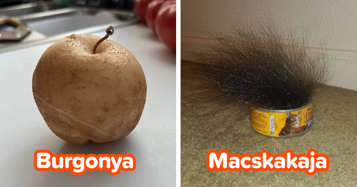 Kicsit ijesztő, de nagyon érdekes: 15 fotó
