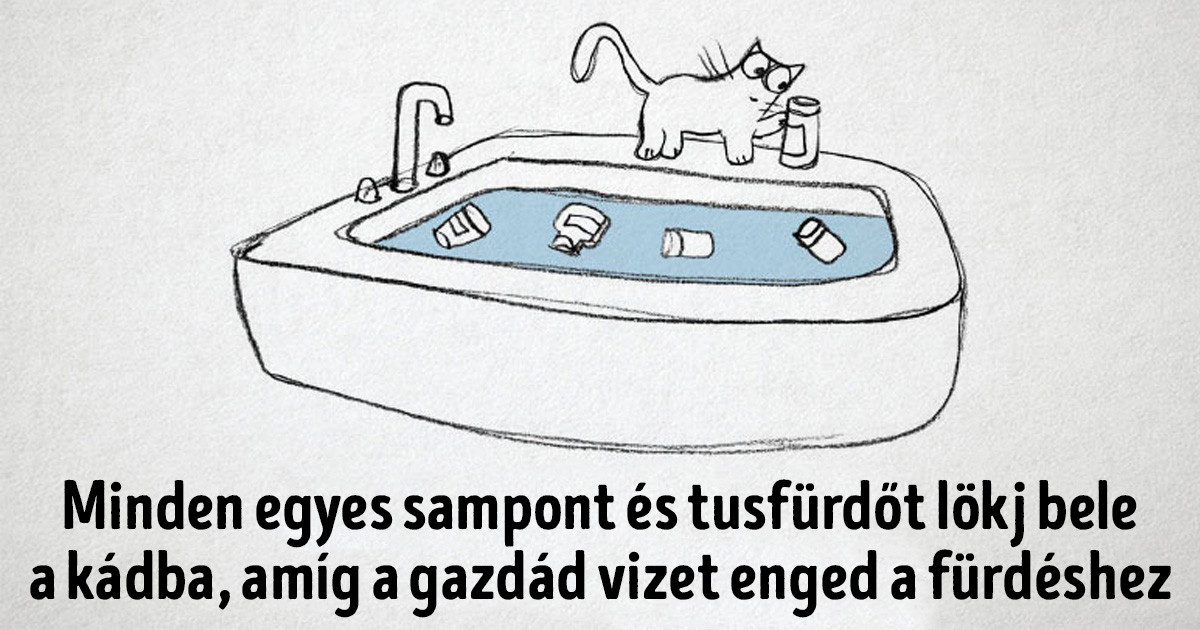 20 humoros illusztráció, ami megmutatja, hogyan kell jó macskának lenni