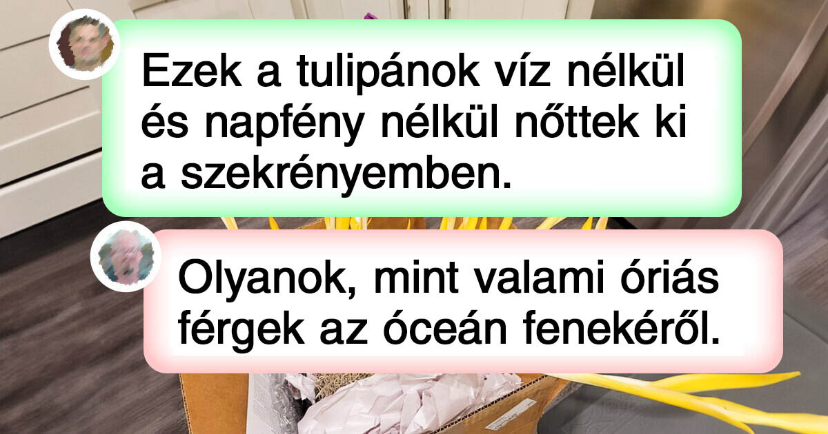 15+ dolog, amiről az emberek nem hitték volna, hogy megtörténhet, ha nem a saját szemükkel látják