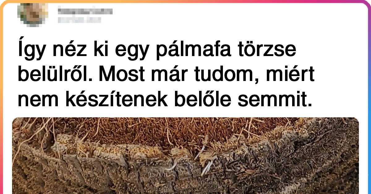 16 váratlan szemszögből készült fotó, amik teljesen új látásmódot nyitnak a világ dolgaira