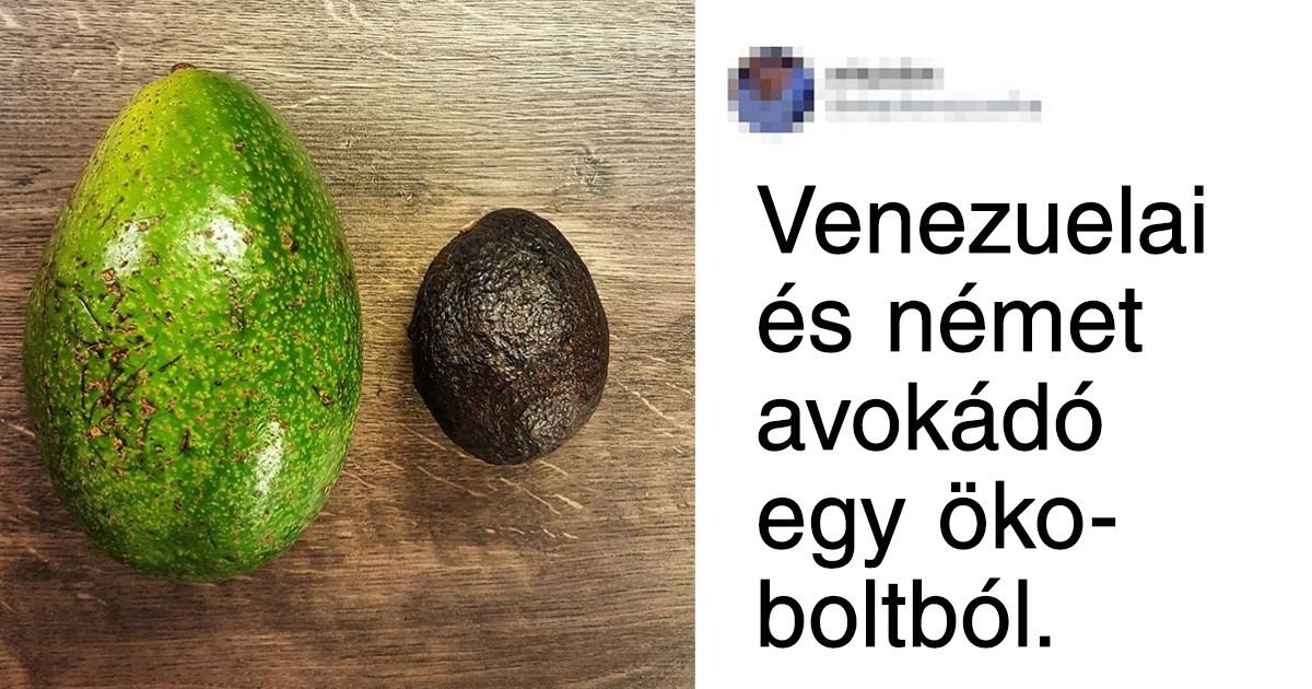 19 fotó, ami bizonyítja, hogy bizonyos dolgokat csak akkor értünk meg, ha összehasonlítjuk