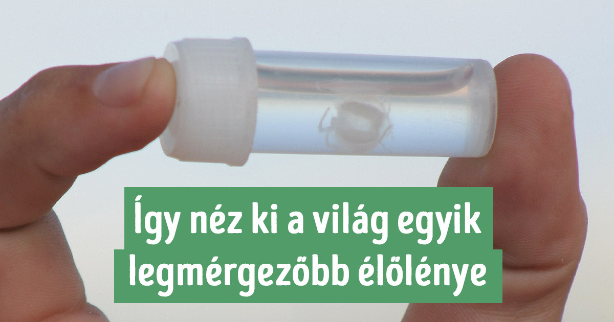 21 dolog, amiről mindannyian hallottunk, de el sem tudjuk képzelni a valódi méretüket