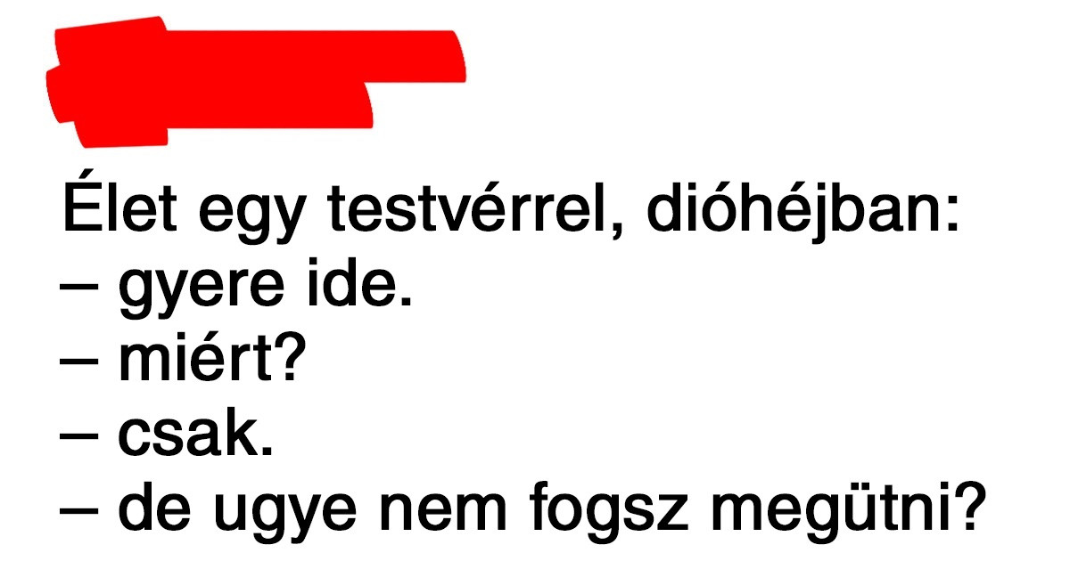 17 élethelyzet, ami jól mutatja, hogy milyen kiszámíthatatlan is a testvérek élete