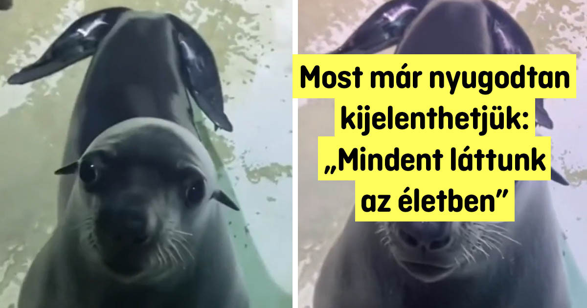 21 fotó, amit megnézel és azt gondolod: „Hogy a fenébe lehetséges ez?”