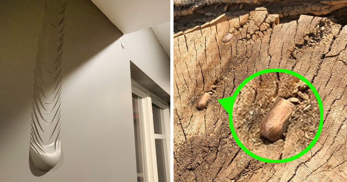 20 alkalom, amikor az emberek valami egészen kivételes dologra lettek figyelmesek