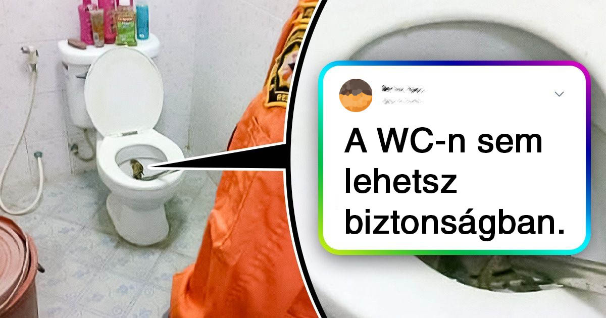 20+ fotó Thaiföldről, ami láttán nem tudod, hogy csodáld, vagy a fejed csóváld inkább