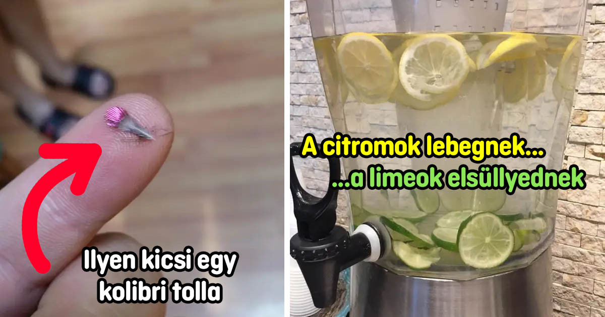 Mutatok 24 lenyűgöző dolgot, amit valószínűleg soha nem gondoltál volna erről a világról, amiben élünk