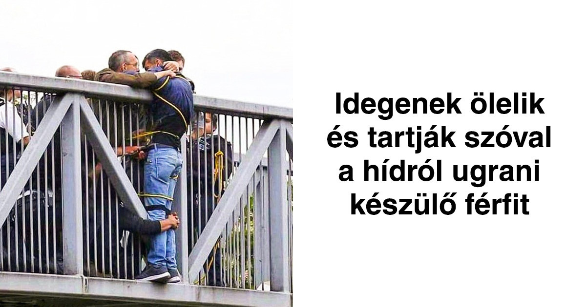 20 fotó, ami láttán legszívesebben minden embert magadhoz ölelnél a bolygón