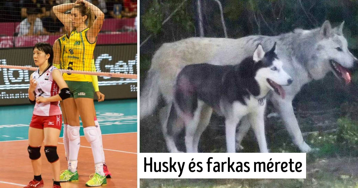 17 érdekes összehasonlítás, ami egészen új szemszögből mutatja meg nekünk a világ dolgait