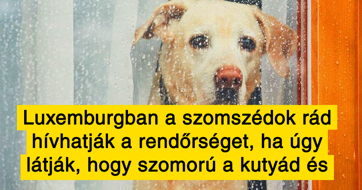 A luxemburgi élet 10+ olyan jellemzője, ami a turistákat könnyen ámulatba ejtheti