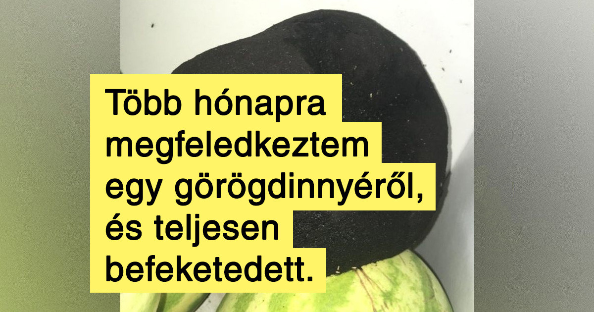 15 fotó, ami egyszerű és egyértelmű választ ad néhány érdekes "Mi lesz, ha…?" kérdésre