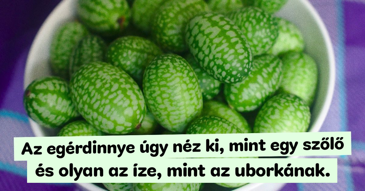 30+ érdekes tény azok számára, akik szeretnének megtudni valami újat a világunkról