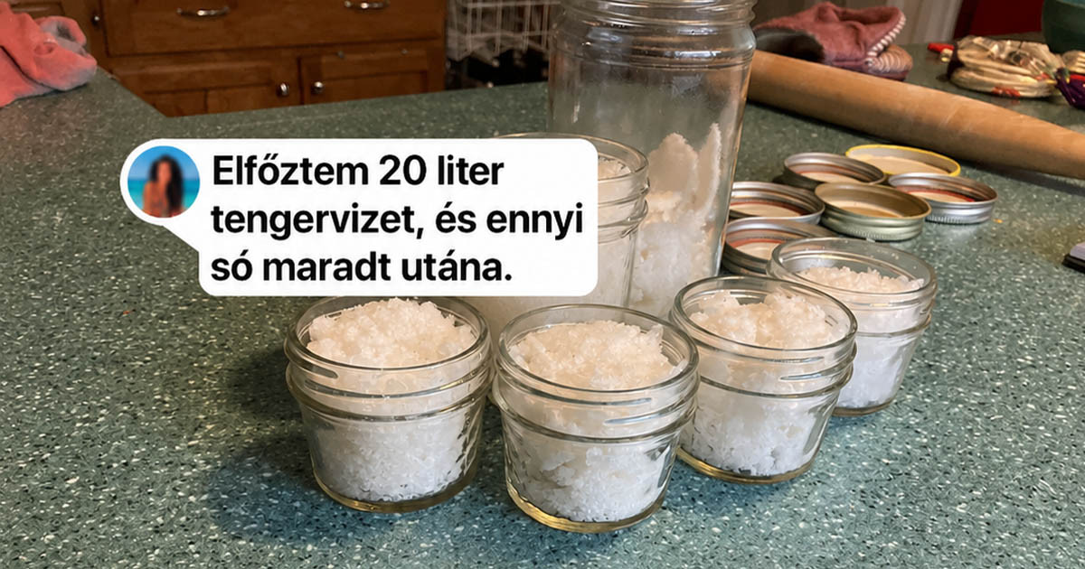 15+ ember felfedezett valamit, amitől kikerekedtek a szemeink