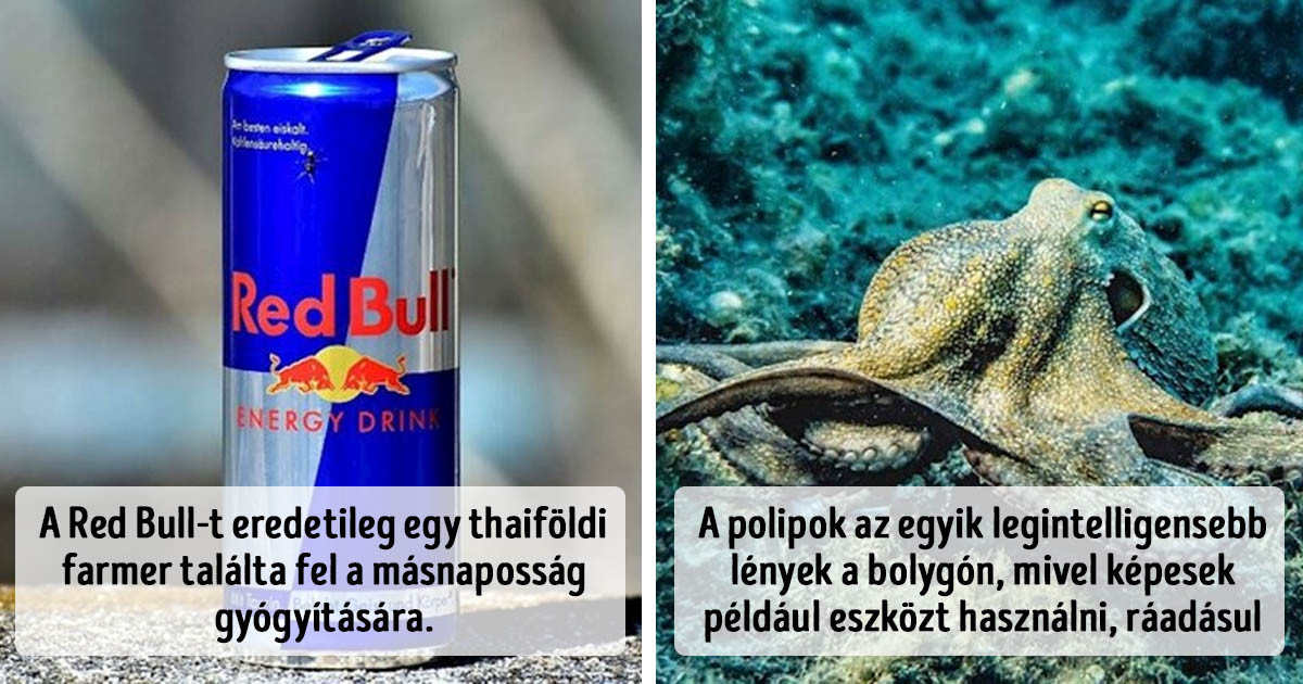 14 tény, amik jól mutatják, hogy sohasem késő tanulni valami újat