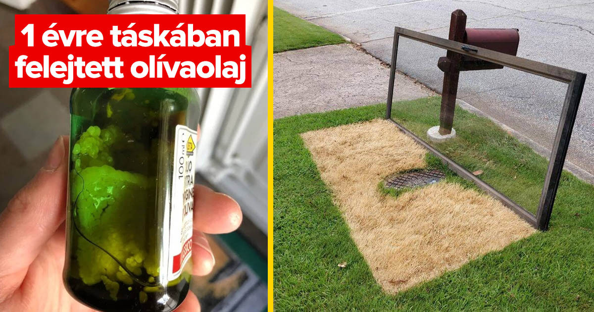 15 ember, aki választ talált néhány igen érdekes "Mi történik, ha…?" kérdésre