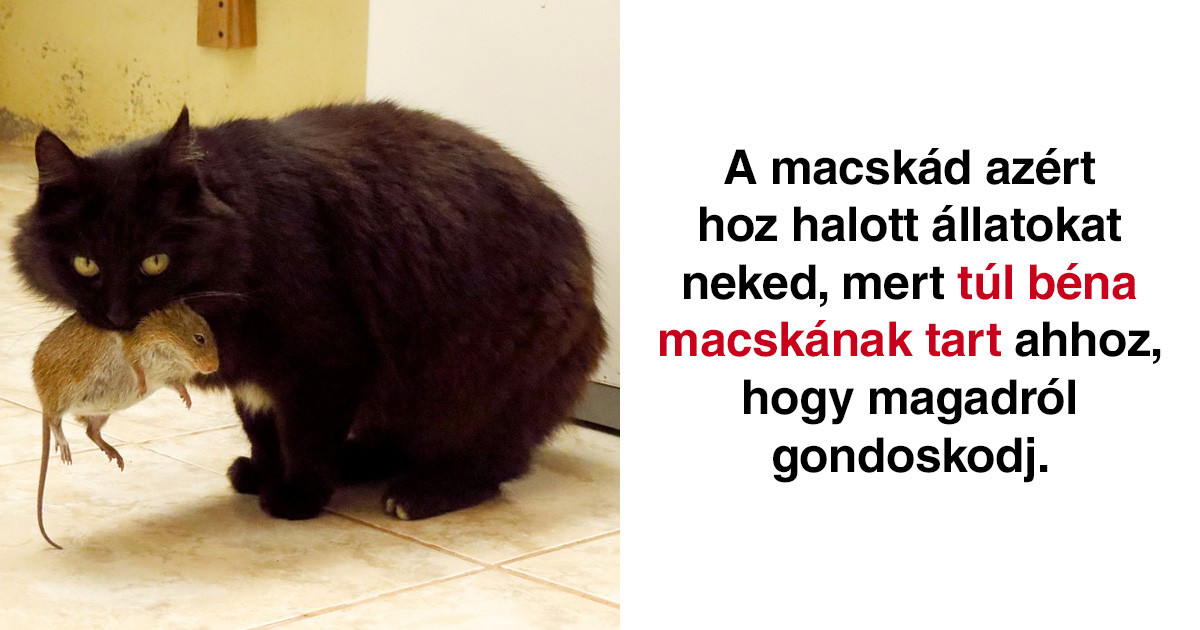 20+ örömteli tény, ami után teljesen más szemmel nézel majd a világra