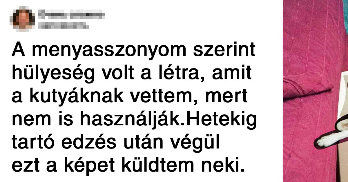 20 férj és feleség, akiknek az élete 99%-ban humorból áll