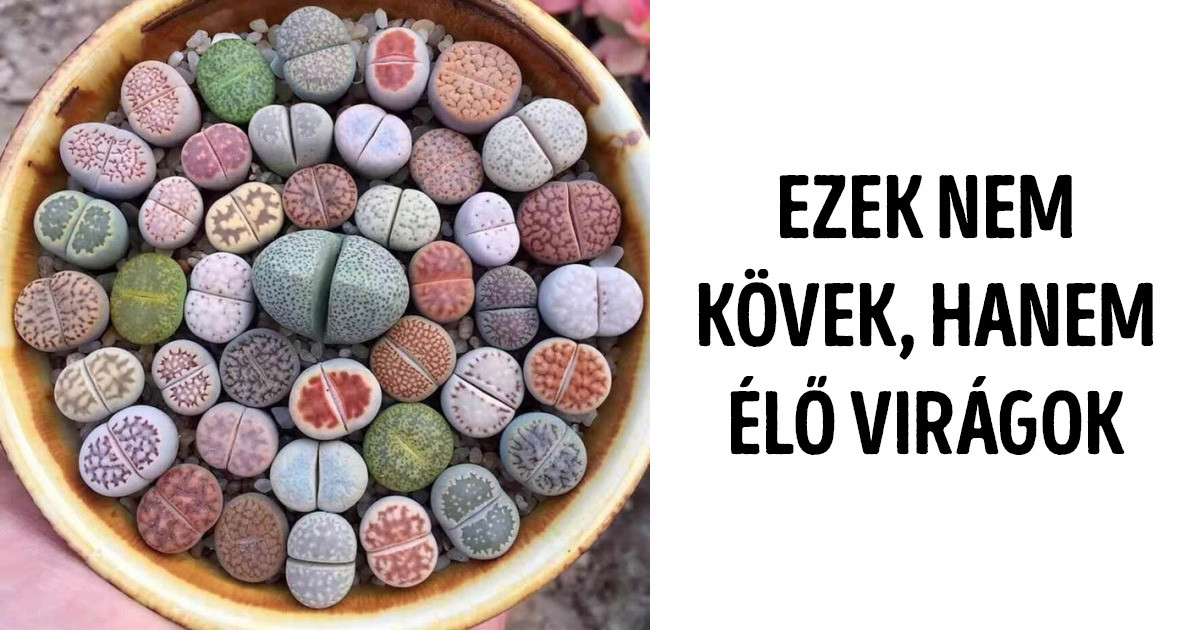 21 izgalmas fotó, ami új oldalról mutatja be a világ dolgait