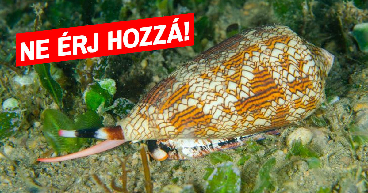 12 váratlan meglepetés, ami a népszerű nyaraló országokba történő utazáskor várhat a turistákra