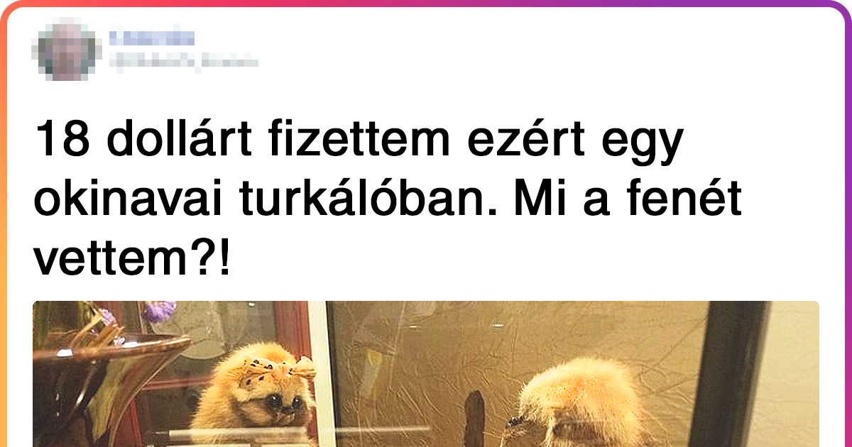 A japán élet 20 vonása, amire minden európai ember rácsodálkozik