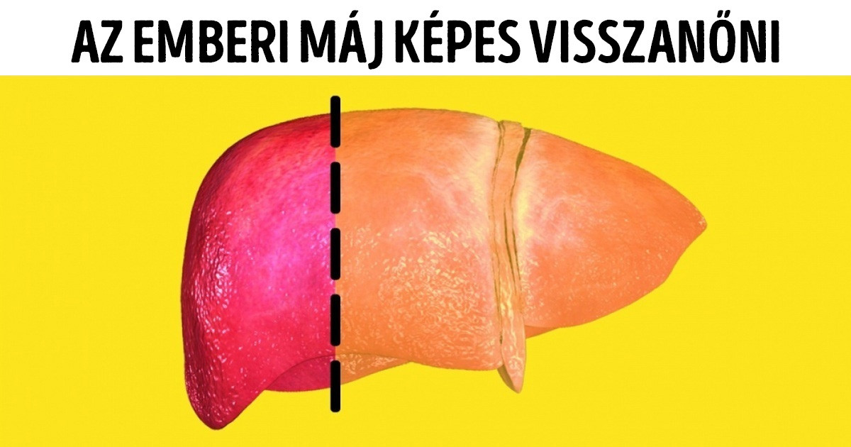 8 izgalmas tény, ami bizonyítja, hogy egy kicsit mindannyian szuperhősök vagyunk