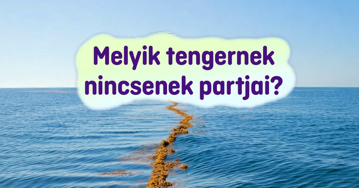 14 iskolai kérdés, ami még a legokosabb embereket is könnyedén összezavarja – de téged többé nem fog