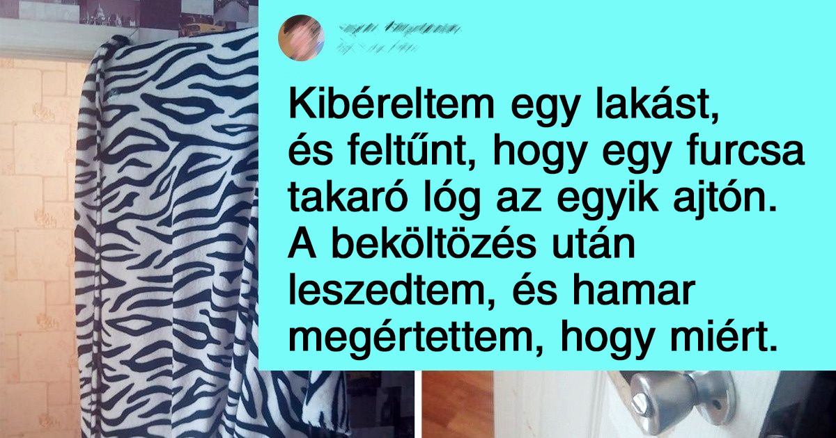 18 albérlet és lakás, ami tele volt meglepetésekkel. Némelyiktől a hideg is kirázott