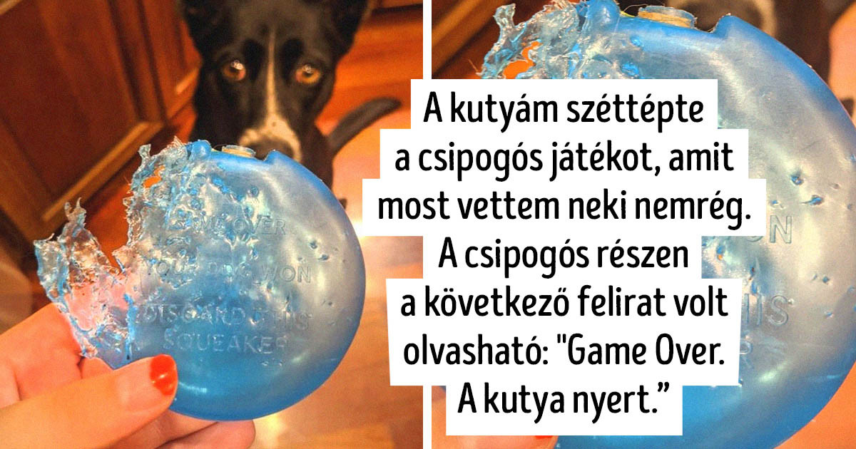 17 balszerencsés pillanat, aminek az iróniája még képernyőn keresztül is érezhető
