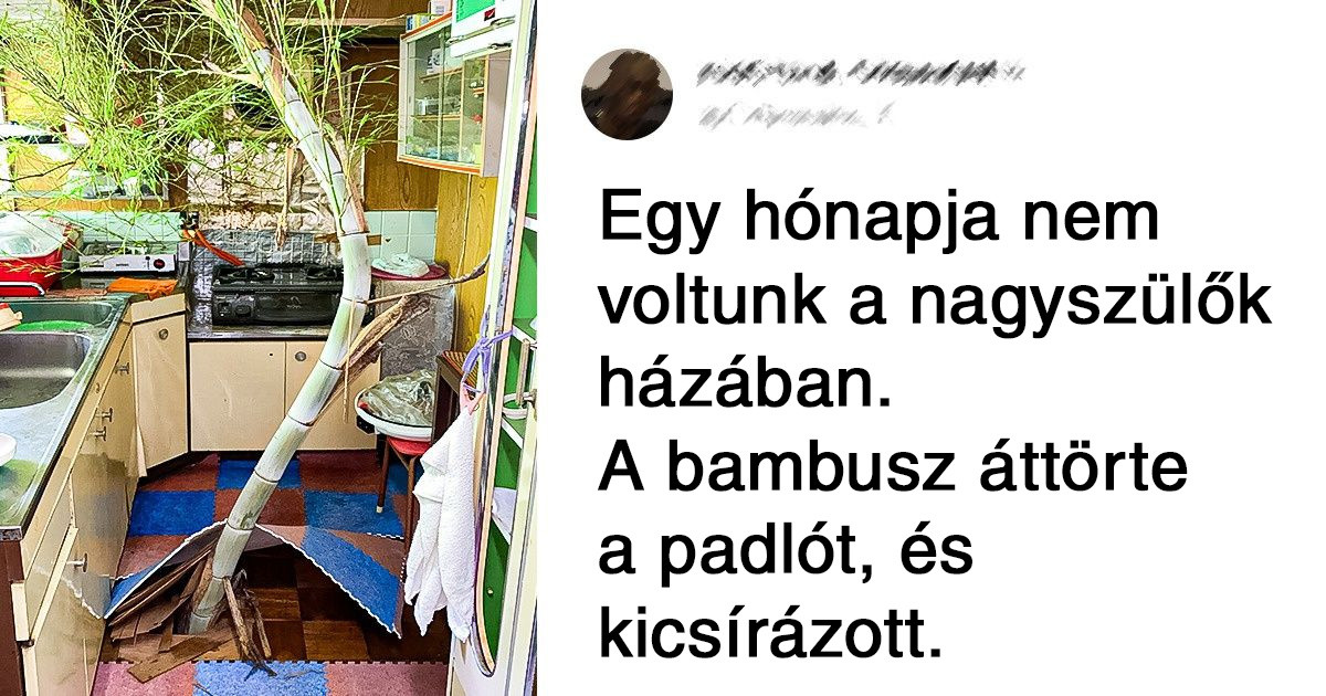 21 bizonyíték rá, hogy ebben az ismerős világban még mindig van valami hihetetlen