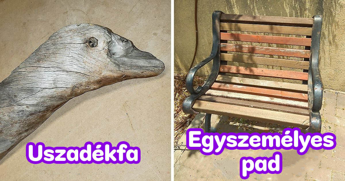 25+ ember, aki rábukkant valami rendkívülire, és az egész interneten szétkürtölte