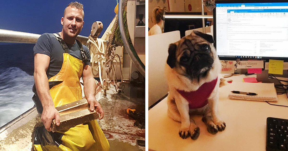 20 fotó, ami bizonyítja, hogy minden munkahelynek meg van a maga előnye