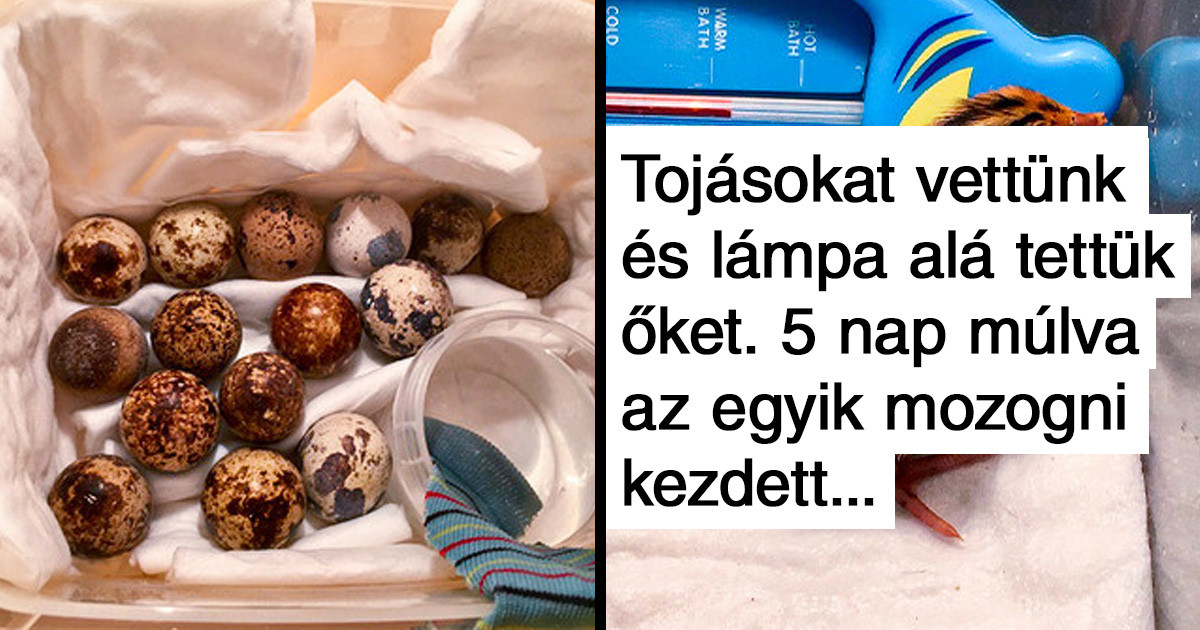 17 bizonyíték rá, hogy az élet bárhol képes utat törni magának