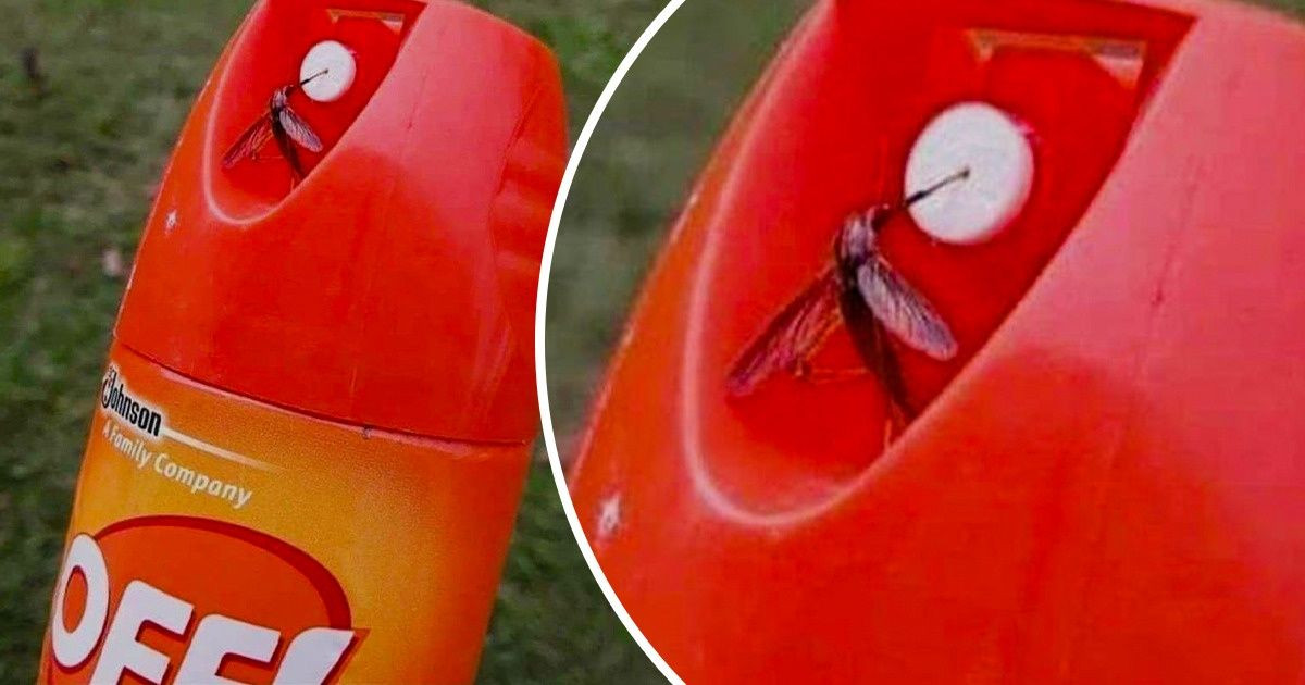 19 ironikus helyzet, ami emlékeztet minket rá, hogy milyen jól lehet szórakozni a váratlan problémákon
