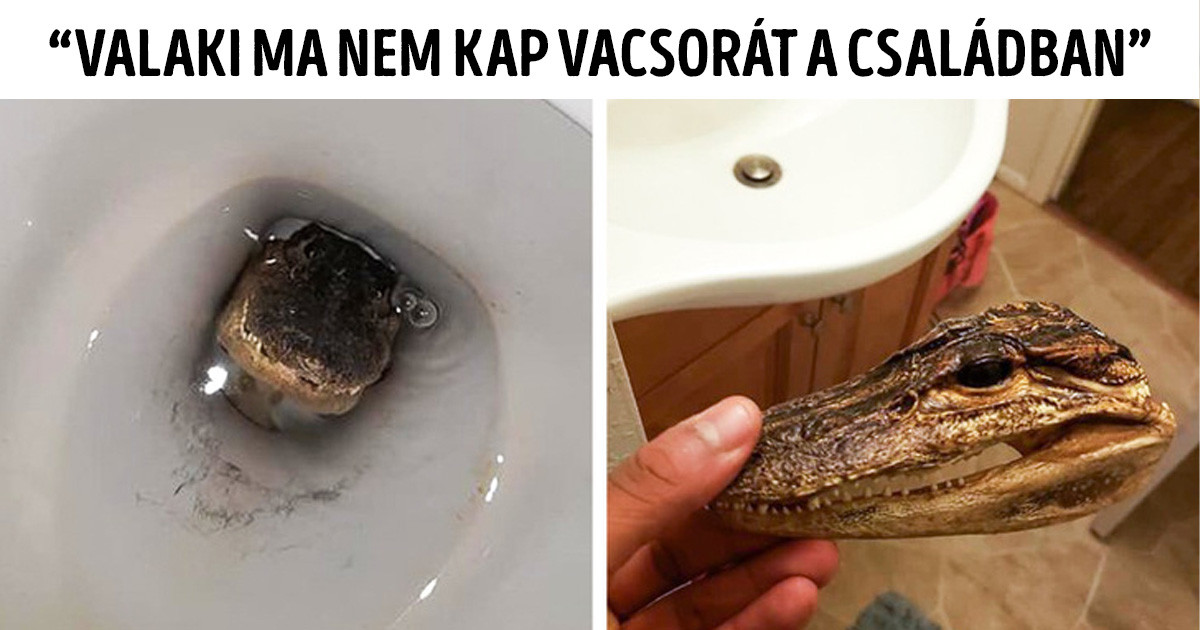 21 ember, aki váratlanul egy kegyetlen tréfa áldozatává vált