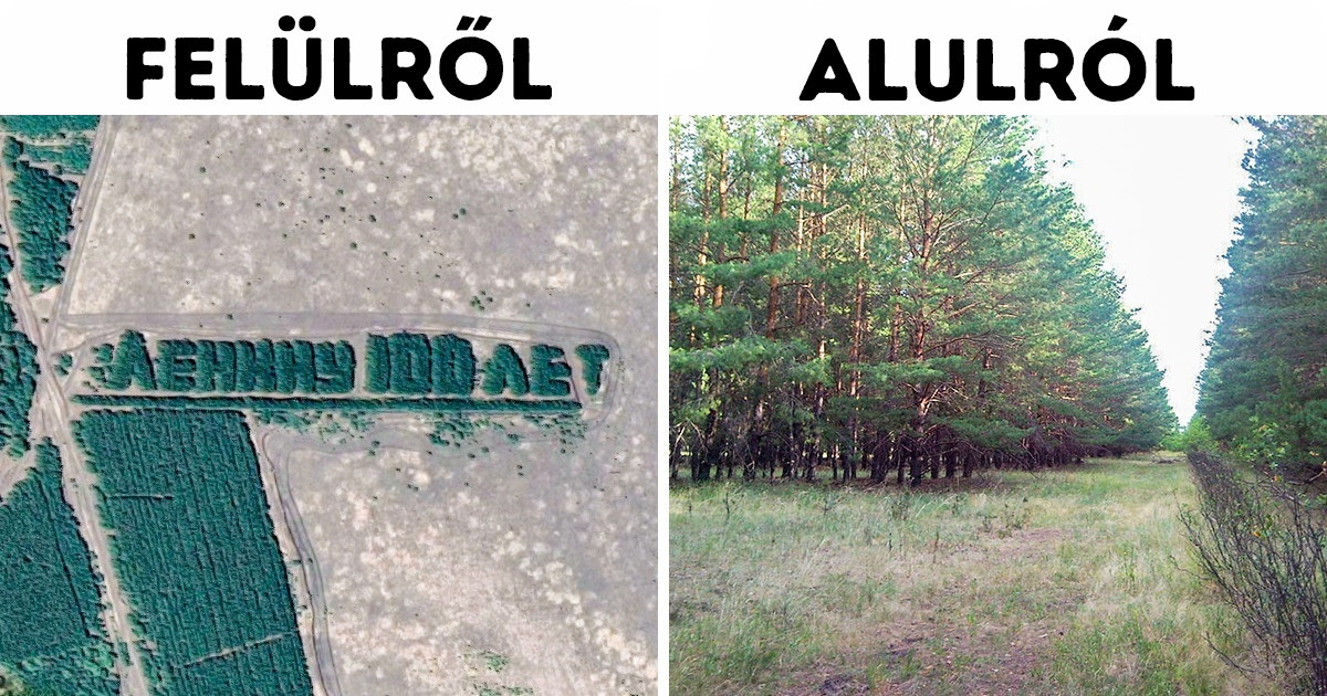 21 furcsa dolog, amire a Google Maps-nek köszönhetően bukkantak rá az emberek