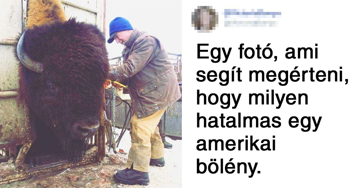 22 bizonyíték rá, hogy bizonyos dolgokat és jelenségeket jobban megértünk, ha összehasonlítjuk valamivel