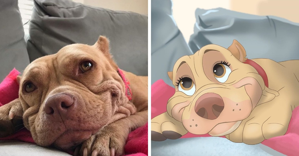 Egy holland művész Disney-jelenetekké változtatja az állatos fotókat